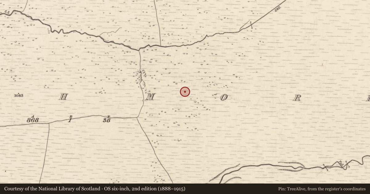 Ordnance Survey six-inch map, 2nd edition (1888–1915) covering the location of Field boundary, Annagh More, County Kerry, with a pin at the register's coordinates