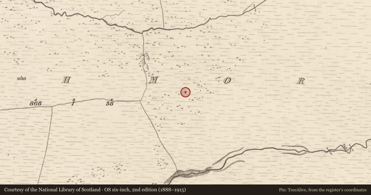 Ordnance Survey six-inch map, 2nd edition (1888–1915) covering the location of Hut site, Annagh More, County Kerry, with a pin at the register's coordinates