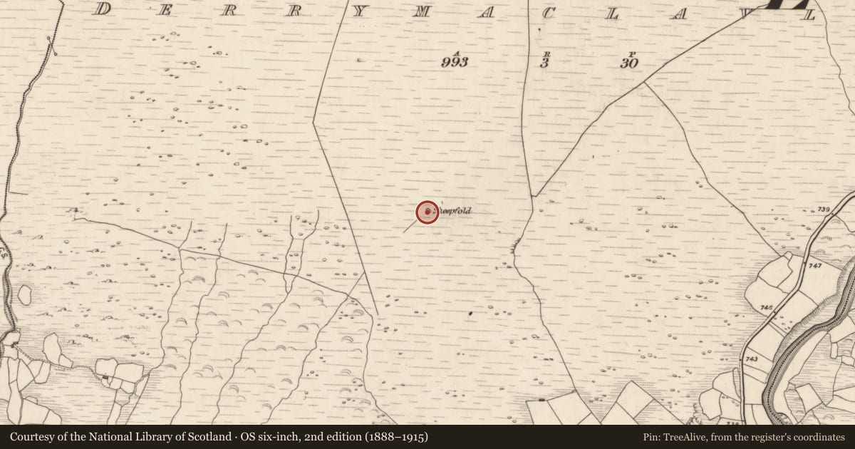 Ordnance Survey six-inch map, 2nd edition (1888–1915) covering the location of Enclosure, Derrymaclavlode, County Kerry, with a pin at the register's coordinates