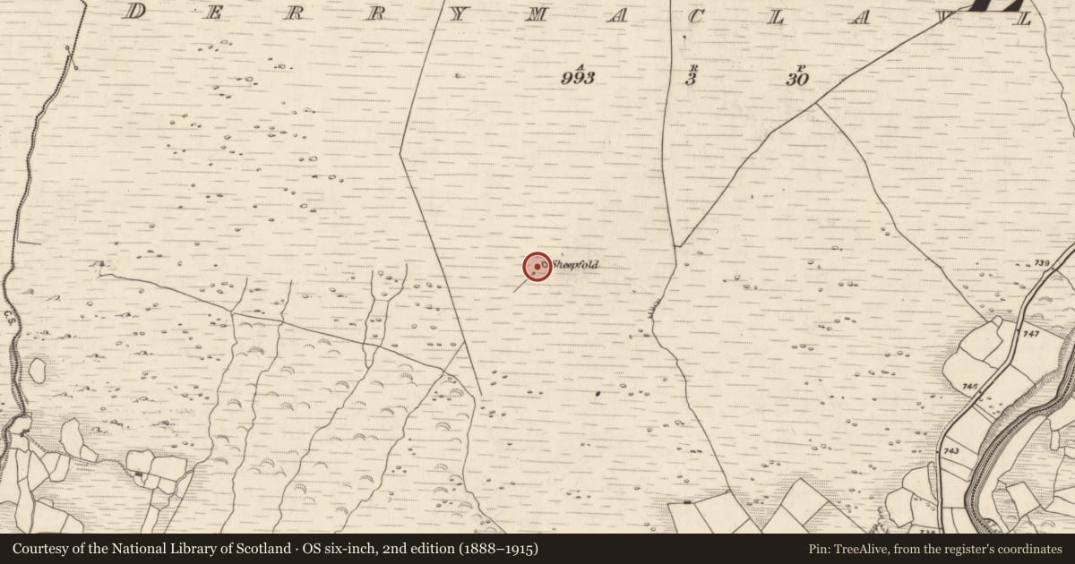 Ordnance Survey six-inch map, 2nd edition (1888–1915) covering the location of Hut site, Derrymaclavlode, County Kerry, with a pin at the register's coordinates