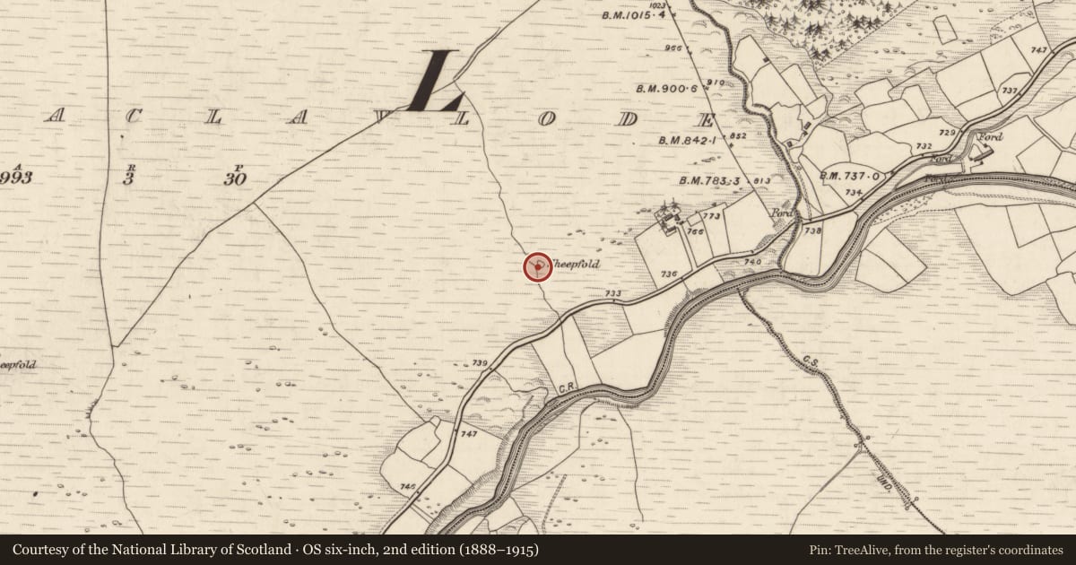 Ordnance Survey six-inch map, 2nd edition (1888–1915) covering the location of Enclosure, Derrymaclavlode, County Kerry, with a pin at the register's coordinates