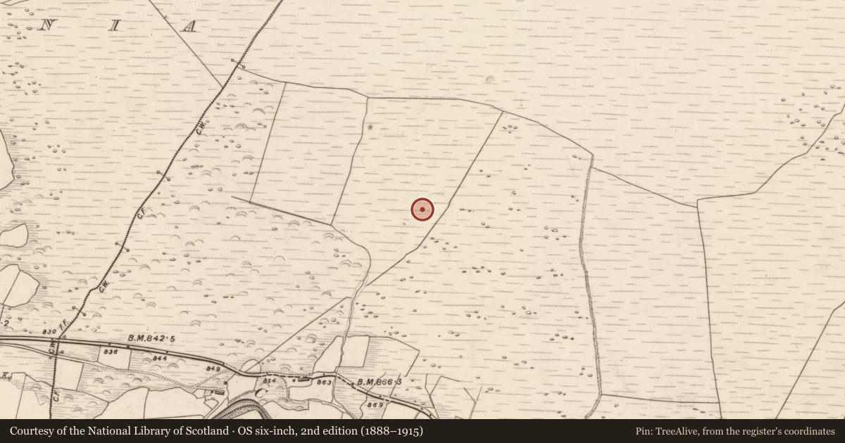 Ordnance Survey six-inch map, 2nd edition (1888–1915) covering the location of Enclosure, Knocknabro, County Kerry, with a pin at the register's coordinates