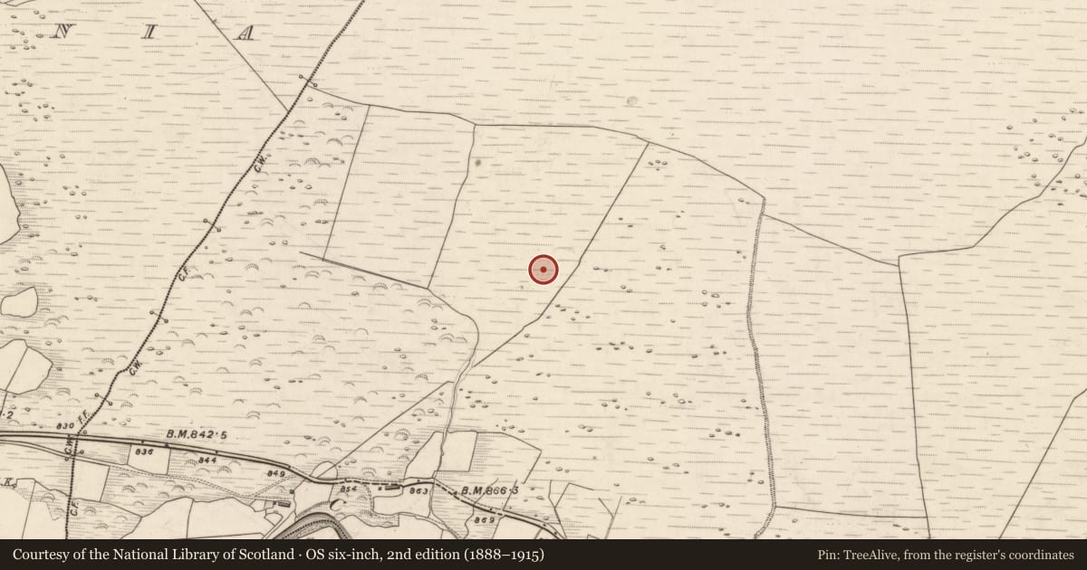 Ordnance Survey six-inch map, 2nd edition (1888–1915) covering the location of Hut site, Knocknabro, County Kerry, with a pin at the register's coordinates