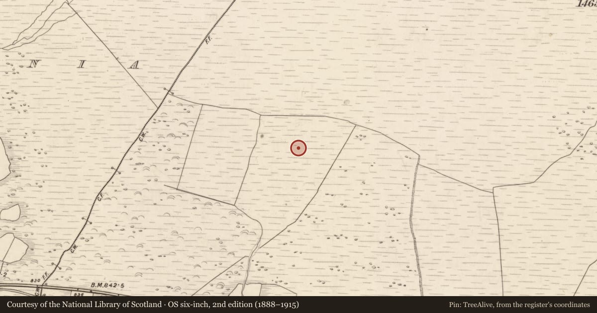 Ordnance Survey six-inch map, 2nd edition (1888–1915) covering the location of Hut site, Knocknabro, County Kerry, with a pin at the register's coordinates