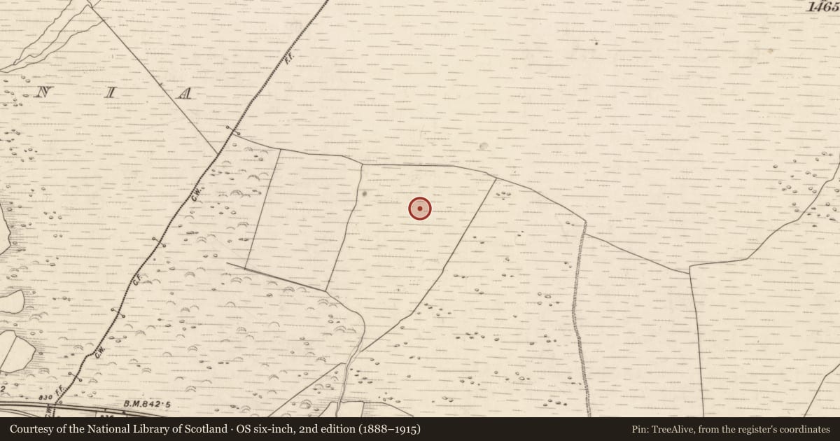 Ordnance Survey six-inch map, 2nd edition (1888–1915) covering the location of Hut site, Knocknabro, County Kerry, with a pin at the register's coordinates
