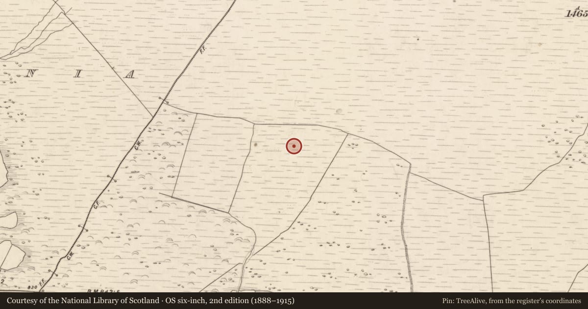 Ordnance Survey six-inch map, 2nd edition (1888–1915) covering the location of Hut site, Knocknabro, County Kerry, with a pin at the register's coordinates