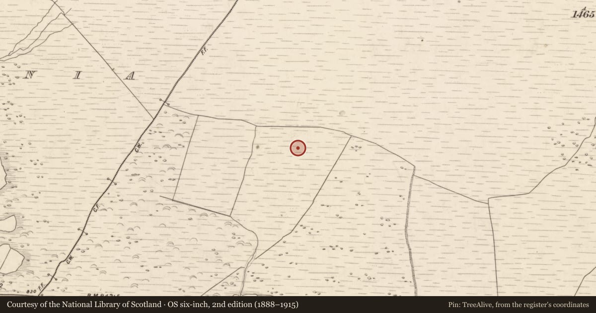 Ordnance Survey six-inch map, 2nd edition (1888–1915) covering the location of Hut site, Knocknabro, County Kerry, with a pin at the register's coordinates