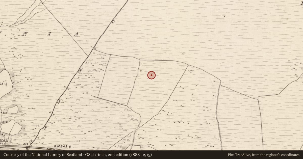 Ordnance Survey six-inch map, 2nd edition (1888–1915) covering the location of Hut site, Knocknabro, County Kerry, with a pin at the register's coordinates