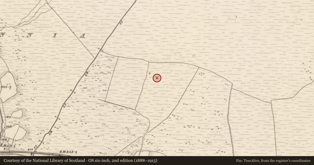Ordnance Survey six-inch map, 2nd edition (1888–1915) covering the location of Field boundary, Knocknabro, County Kerry, with a pin at the register's coordinates