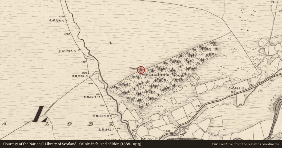 Ordnance Survey six-inch map, 2nd edition (1888–1915) covering the location of Enclosure, Derrynafinnia, County Kerry, with a pin at the register's coordinates