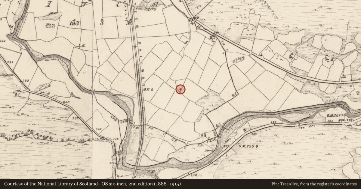 Ordnance Survey six-inch map, 2nd edition (1888–1915) covering the location of Children's burial ground, Inch, County Kerry, with a pin at the register's coordinates