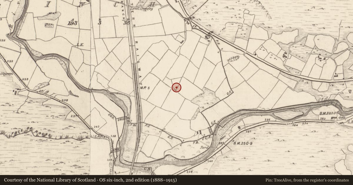 Ordnance Survey six-inch map, 2nd edition (1888–1915) covering the location of Cross-slab, Inch, County Kerry, with a pin at the register's coordinates