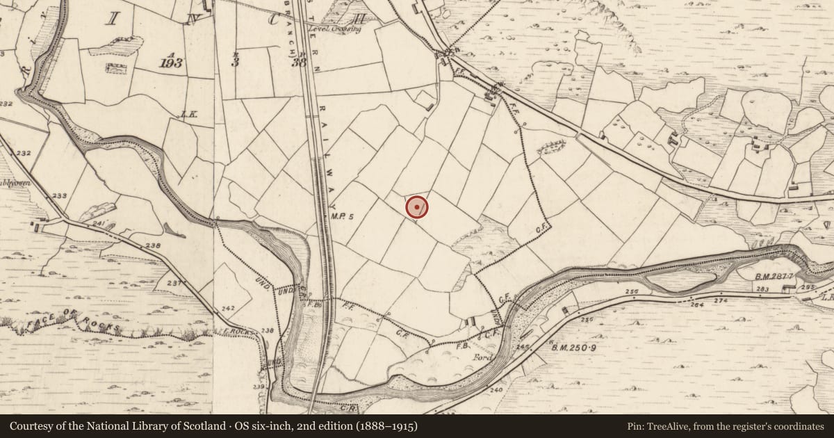 Ordnance Survey six-inch map, 2nd edition (1888–1915) covering the location of Ecclesiastical enclosure, Inch, County Kerry, with a pin at the register's coordinates