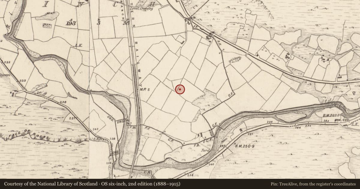 Ordnance Survey six-inch map, 2nd edition (1888–1915) covering the location of Leacht, Inch, County Kerry, with a pin at the register's coordinates