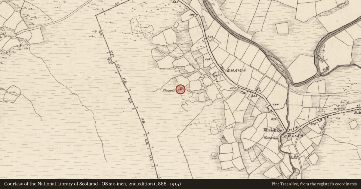 Ordnance Survey six-inch map, 2nd edition (1888–1915) covering the location of Enclosure, Derryreag, County Kerry, with a pin at the register's coordinates