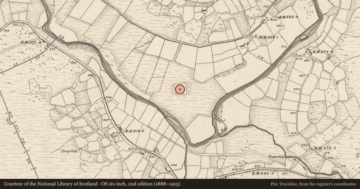 Ordnance Survey six-inch map, 2nd edition (1888–1915) covering the location of Souterrain, Derrymaclavlode, County Kerry, with a pin at the register's coordinates
