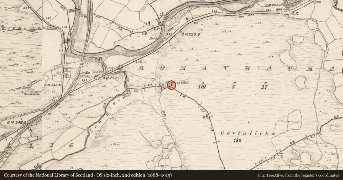 Ordnance Survey six-inch map, 2nd edition (1888–1915) covering the location of Cross-inscribed stone, Dromavrauka, County Kerry, with a pin at the register's coordinates