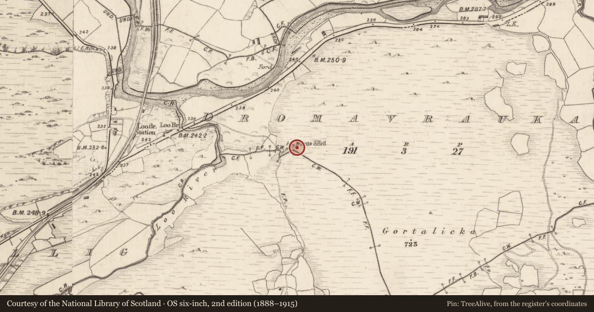 Ordnance Survey six-inch map, 2nd edition (1888–1915) covering the location of Cross-inscribed stone, Dromavrauka, County Kerry, with a pin at the register's coordinates