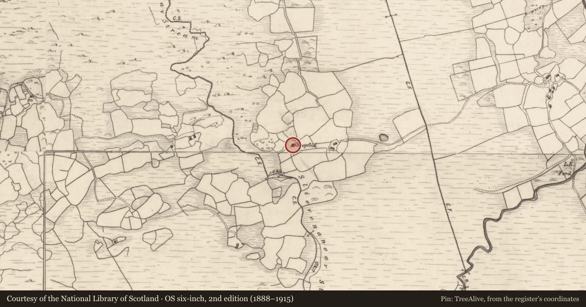 Ordnance Survey six-inch map, 2nd edition (1888–1915) covering the location of Hut site, Gortalicka, County Kerry, with a pin at the register's coordinates