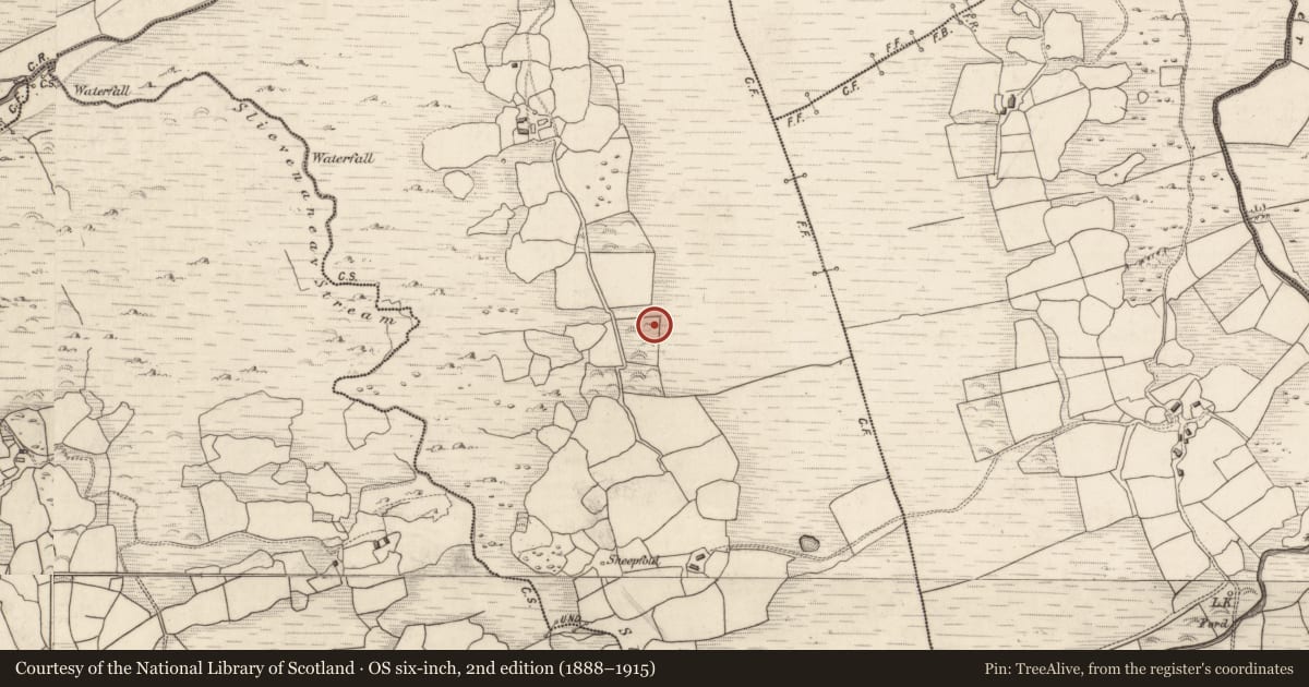 Ordnance Survey six-inch map, 2nd edition (1888–1915) covering the location of Megalithic tomb - wedge tomb, Gortalicka, County Kerry, with a pin at the register's coordinates