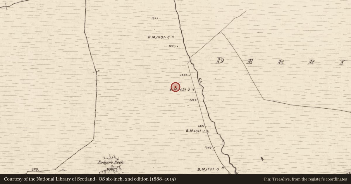Ordnance Survey six-inch map, 2nd edition (1888–1915) covering the location of Hut site, Derrymaclavlode, County Kerry, with a pin at the register's coordinates