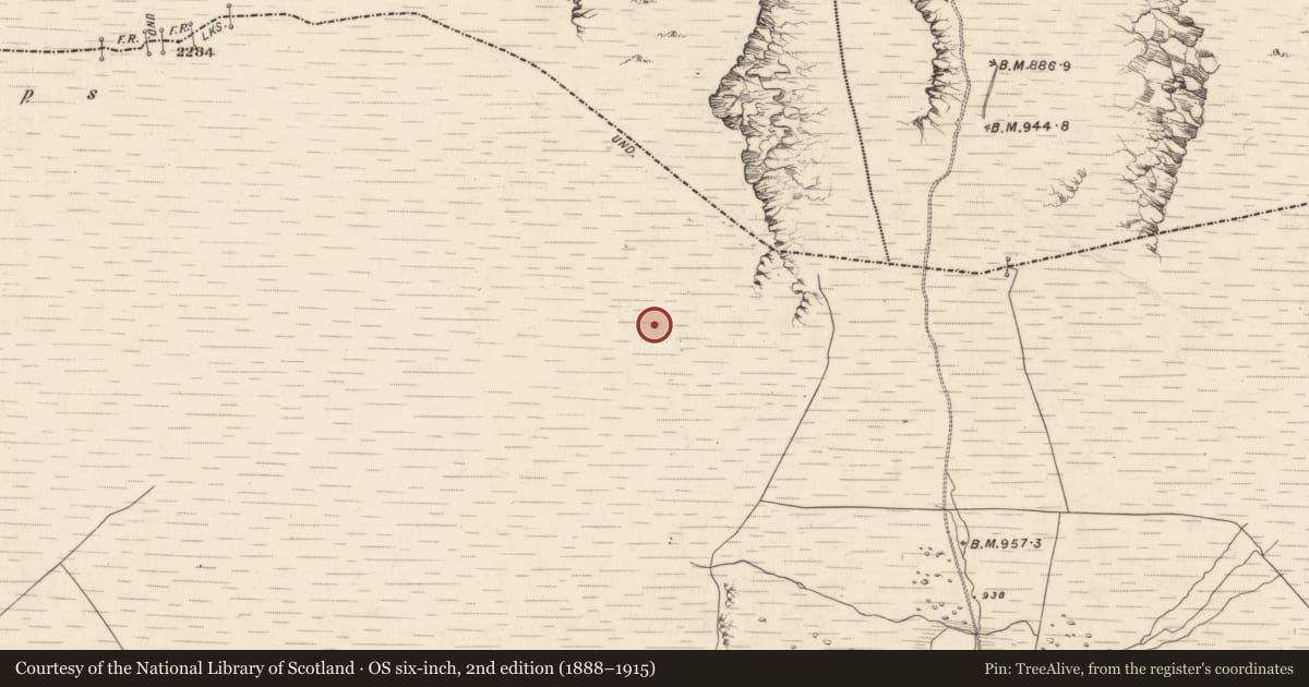 Ordnance Survey six-inch map, 2nd edition (1888–1915) covering the location of Hut site, Derrynafinnia, County Kerry, with a pin at the register's coordinates