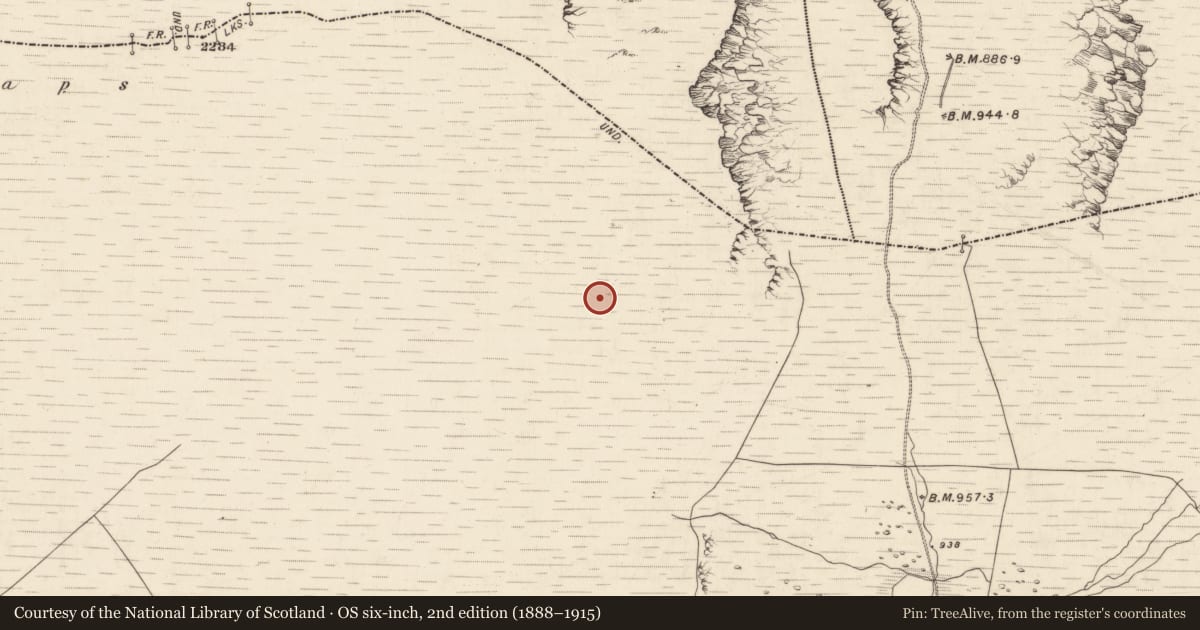Ordnance Survey six-inch map, 2nd edition (1888–1915) covering the location of Hut site, Derrynafinnia, County Kerry, with a pin at the register's coordinates