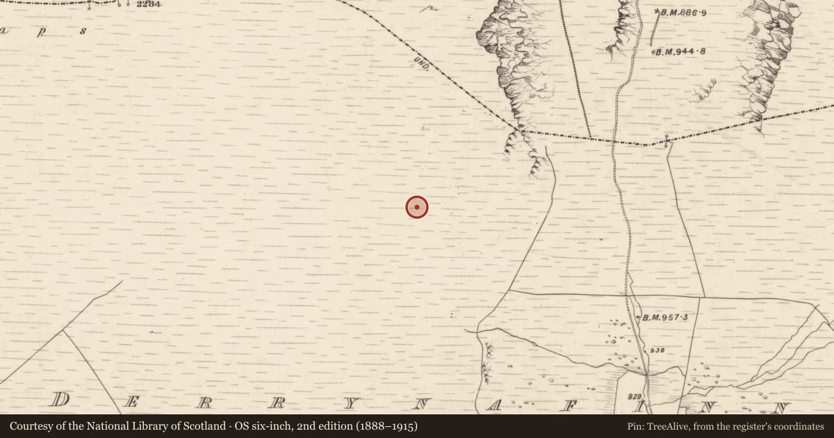 Ordnance Survey six-inch map, 2nd edition (1888–1915) covering the location of Hut site, Derrynafinnia, County Kerry, with a pin at the register's coordinates