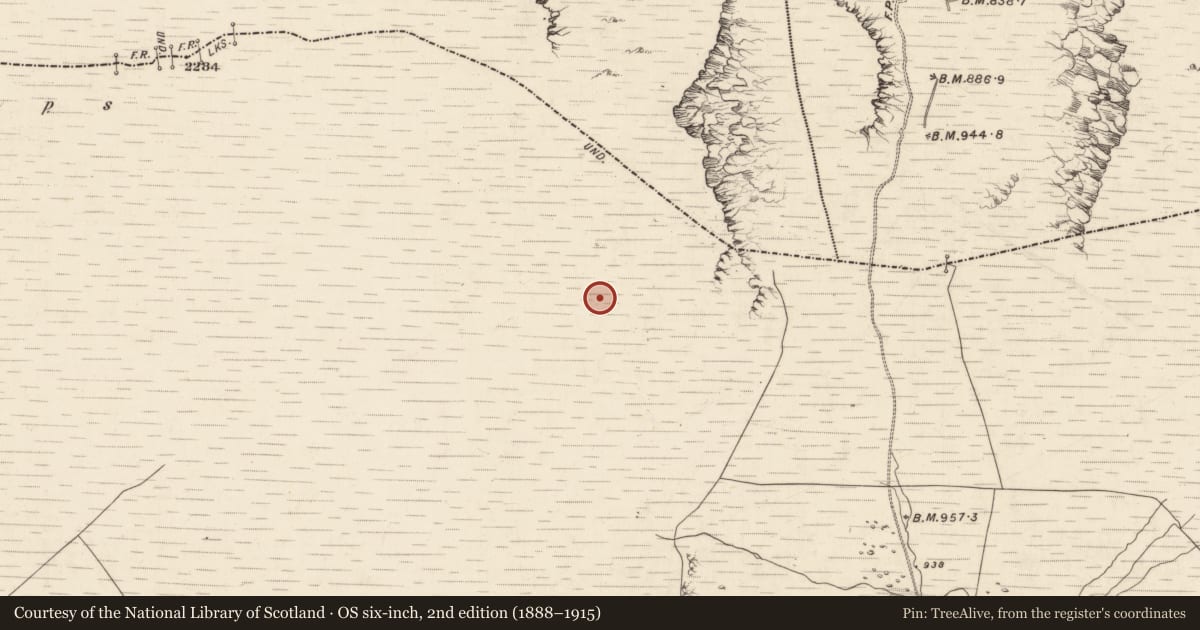 Ordnance Survey six-inch map, 2nd edition (1888–1915) covering the location of Hut site, Derrynafinnia, County Kerry, with a pin at the register's coordinates
