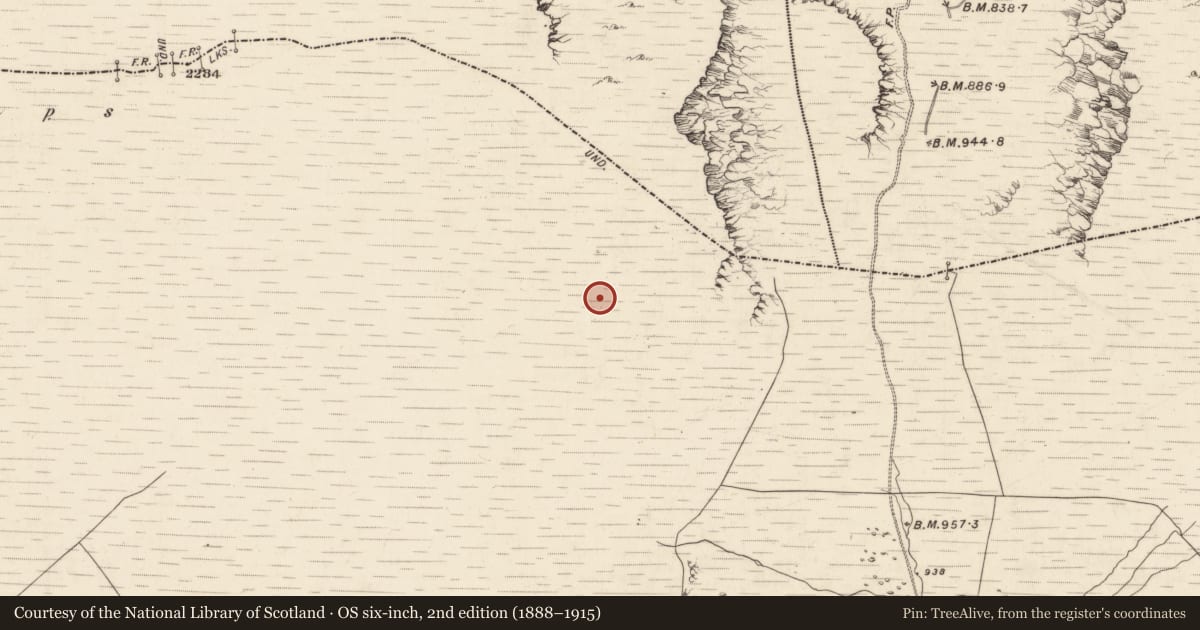 Ordnance Survey six-inch map, 2nd edition (1888–1915) covering the location of Hut site, Derrynafinnia, County Kerry, with a pin at the register's coordinates