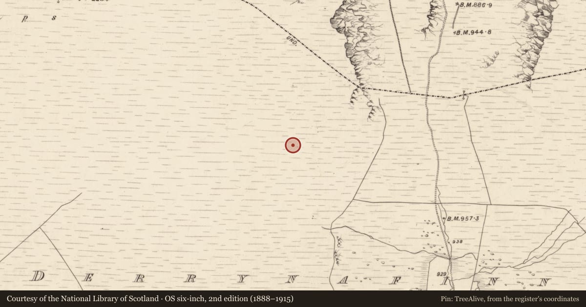 Ordnance Survey six-inch map, 2nd edition (1888–1915) covering the location of Standing stone, Derrynafinnia, County Kerry, with a pin at the register's coordinates