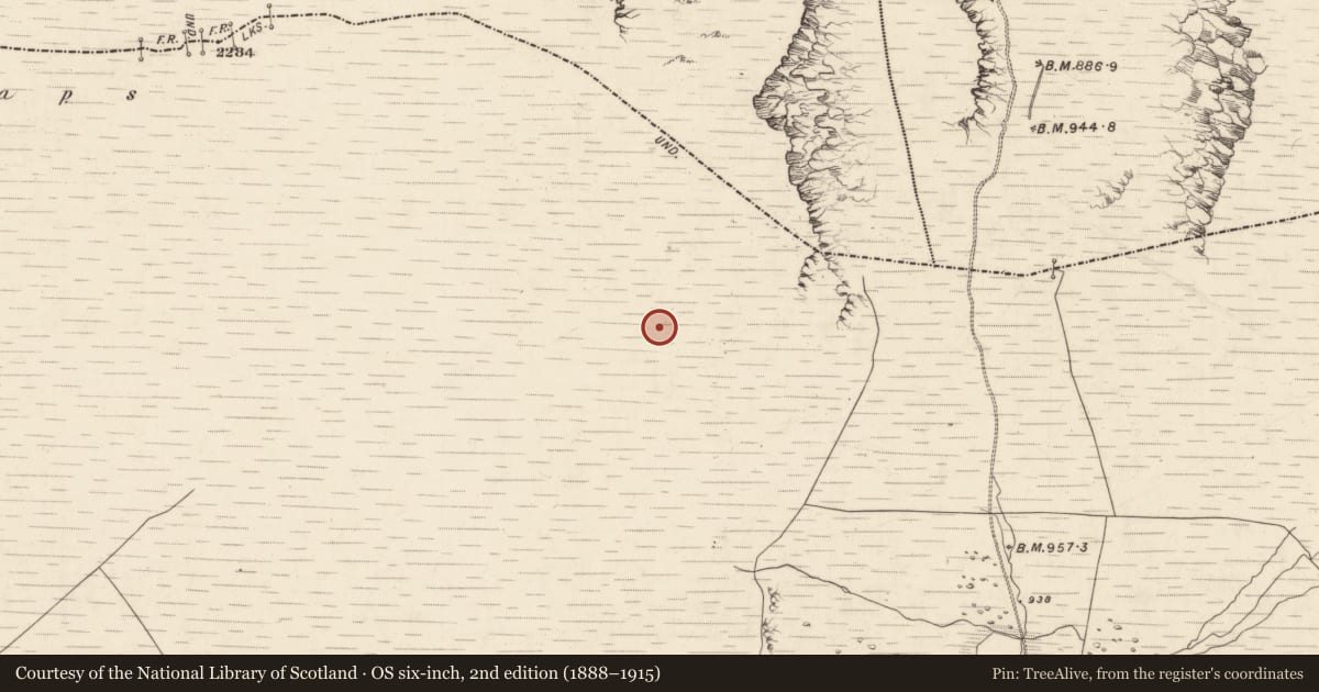 Ordnance Survey six-inch map, 2nd edition (1888–1915) covering the location of Hut site, Derrynafinnia, County Kerry, with a pin at the register's coordinates