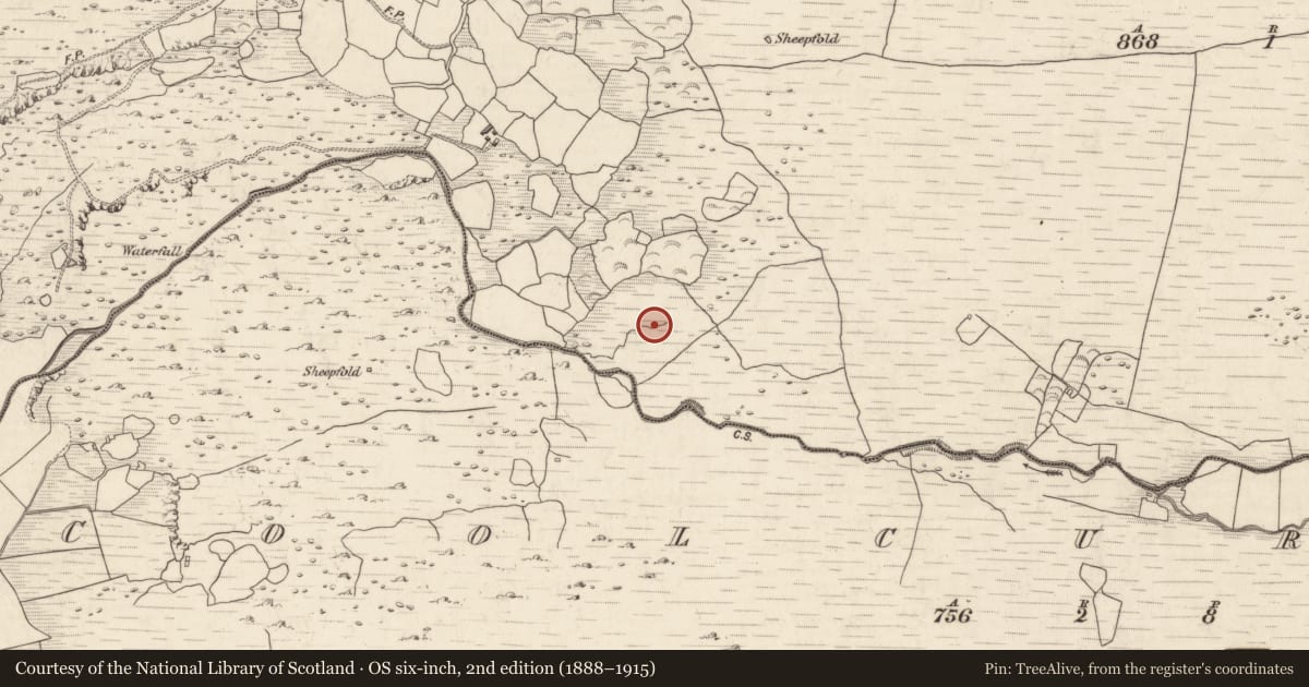Ordnance Survey six-inch map, 2nd edition (1888–1915) covering the location of Fulacht fia, Annagh More, County Kerry, with a pin at the register's coordinates