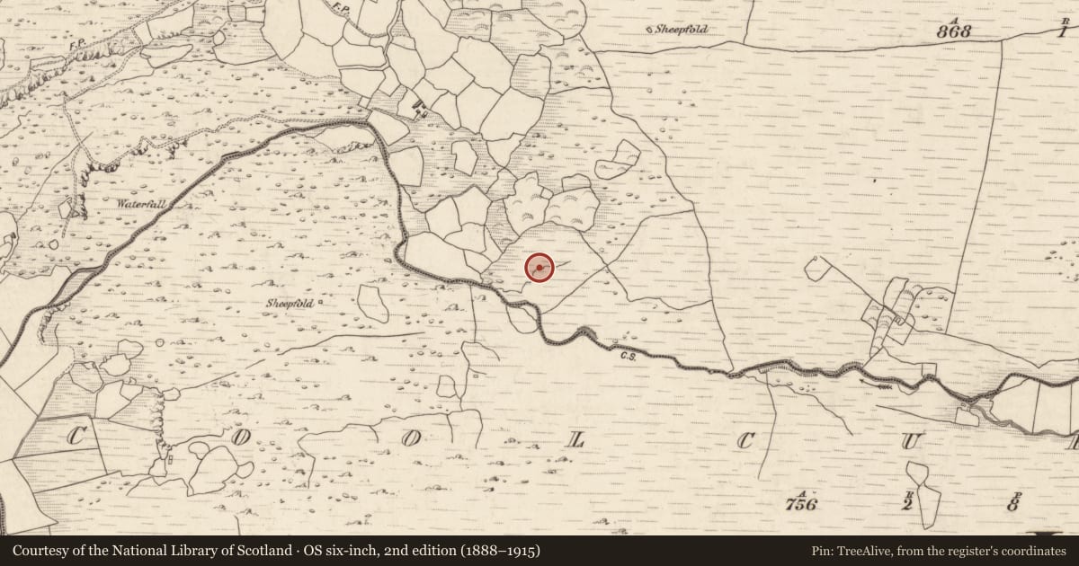 Ordnance Survey six-inch map, 2nd edition (1888–1915) covering the location of Fulacht fia, Annagh More, County Kerry, with a pin at the register's coordinates