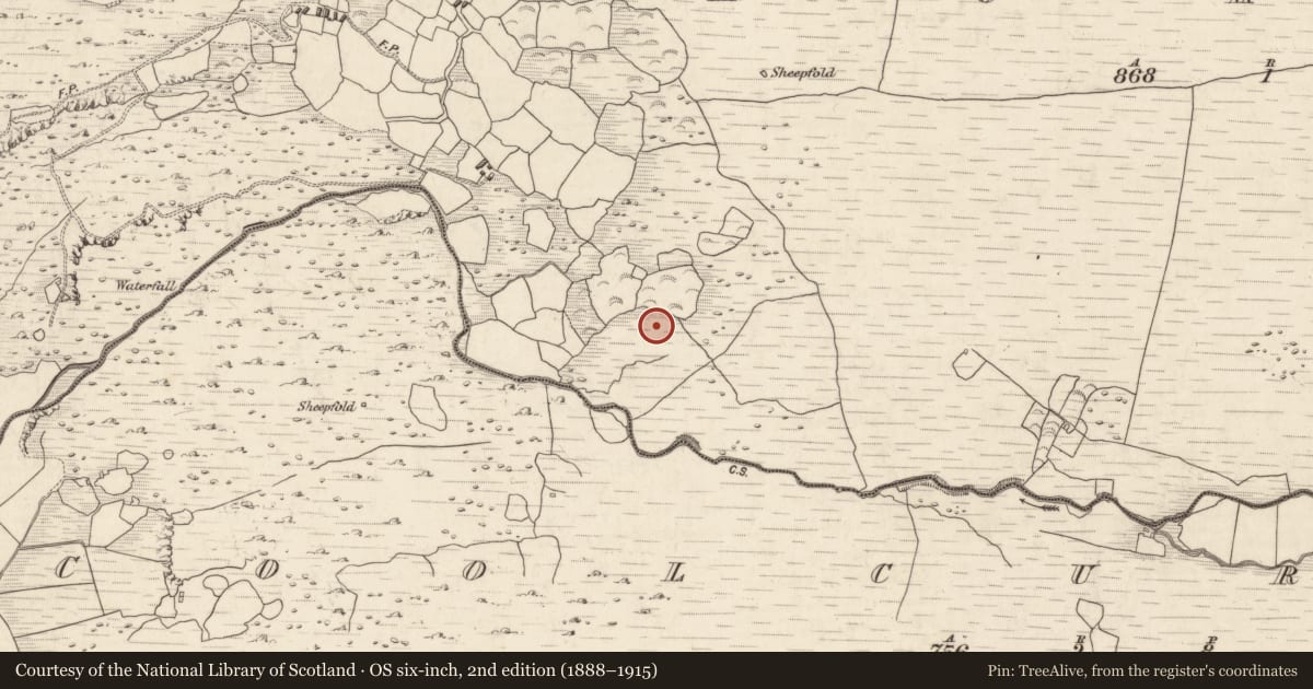 Ordnance Survey six-inch map, 2nd edition (1888–1915) covering the location of Fulacht fia, Annagh More, County Kerry, with a pin at the register's coordinates