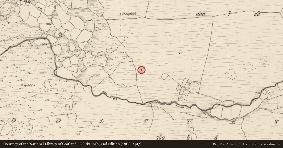 Ordnance Survey six-inch map, 2nd edition (1888–1915) covering the location of Field boundary, Annagh More, County Kerry, with a pin at the register's coordinates
