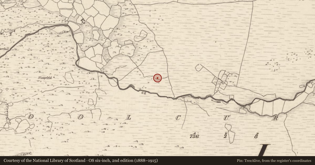 Ordnance Survey six-inch map, 2nd edition (1888–1915) covering the location of Hut site, Annagh More, County Kerry, with a pin at the register's coordinates
