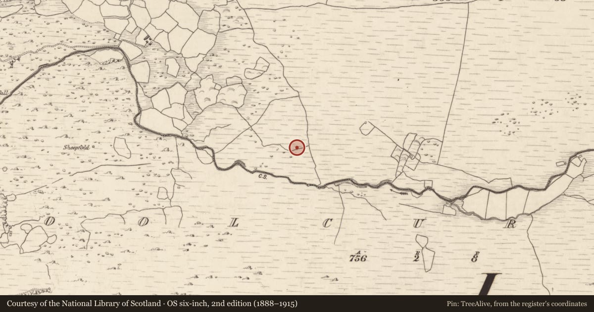 Ordnance Survey six-inch map, 2nd edition (1888–1915) covering the location of Enclosure, Annagh More, County Kerry, with a pin at the register's coordinates