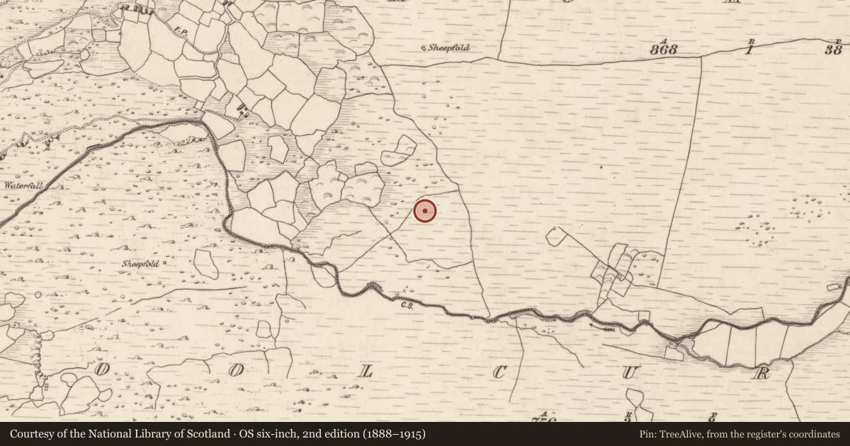 Ordnance Survey six-inch map, 2nd edition (1888–1915) covering the location of Field boundary, Annagh More, County Kerry, with a pin at the register's coordinates
