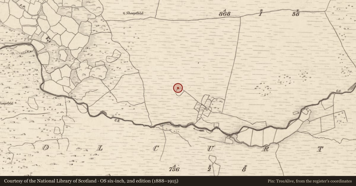 Ordnance Survey six-inch map, 2nd edition (1888–1915) covering the location of Hut site, Annagh More, County Kerry, with a pin at the register's coordinates