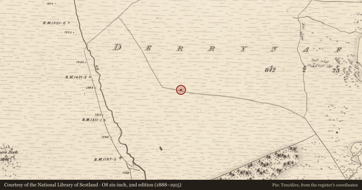 Ordnance Survey six-inch map, 2nd edition (1888–1915) covering the location of Hut site, Derrynafinnia, County Kerry, with a pin at the register's coordinates