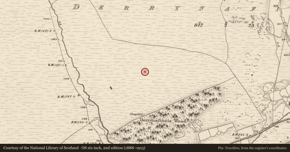 Ordnance Survey six-inch map, 2nd edition (1888–1915) covering the location of Field boundary, Derrynafinnia, County Kerry, with a pin at the register's coordinates
