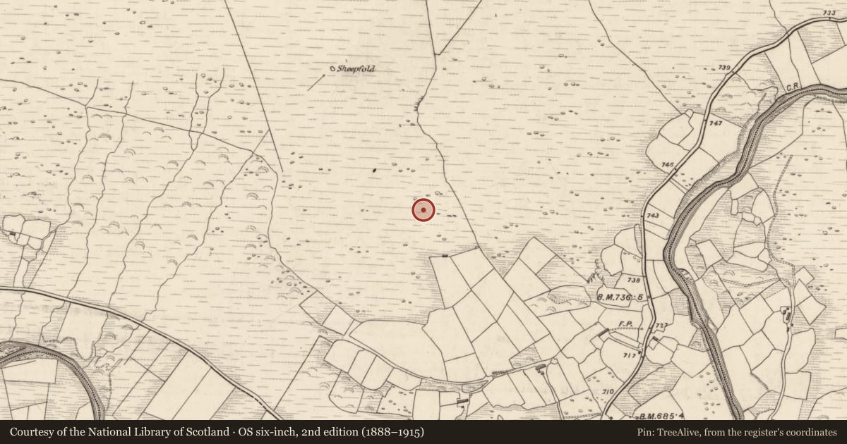 Ordnance Survey six-inch map, 2nd edition (1888–1915) covering the location of Hut site, Derrymaclavlode, County Kerry, with a pin at the register's coordinates