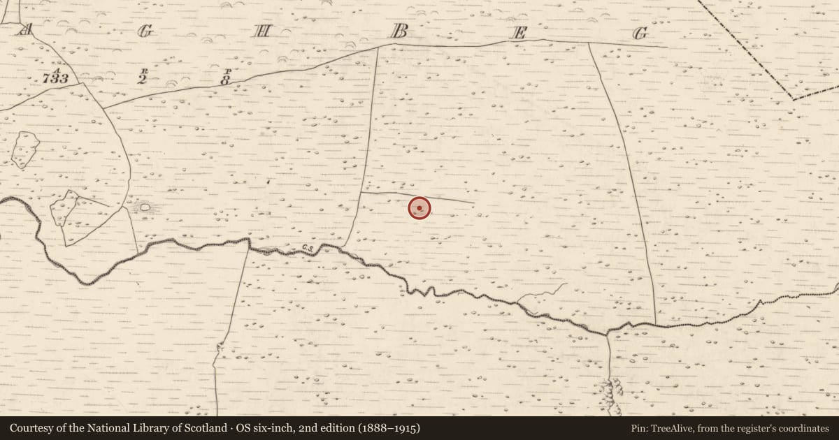 Ordnance Survey six-inch map, 2nd edition (1888–1915) covering the location of Hut site, Annagh Beg, County Kerry, with a pin at the register's coordinates