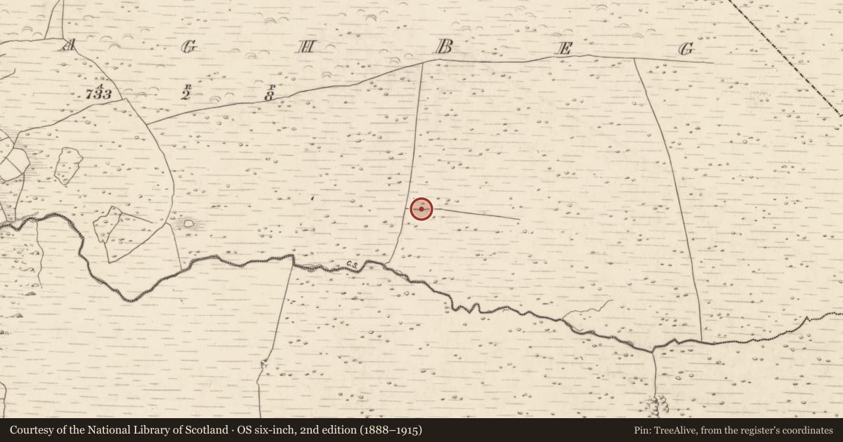 Ordnance Survey six-inch map, 2nd edition (1888–1915) covering the location of Field boundary, Annagh Beg, County Kerry, with a pin at the register's coordinates