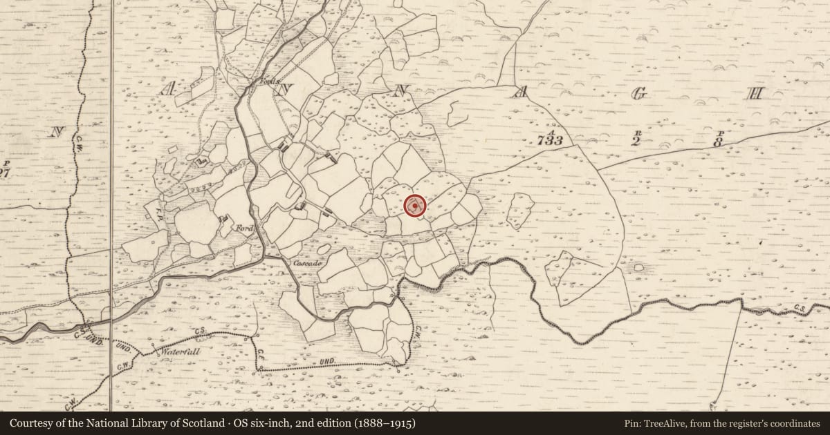 Ordnance Survey six-inch map, 2nd edition (1888–1915) covering the location of Standing stone, Annagh Beg, County Kerry, with a pin at the register's coordinates