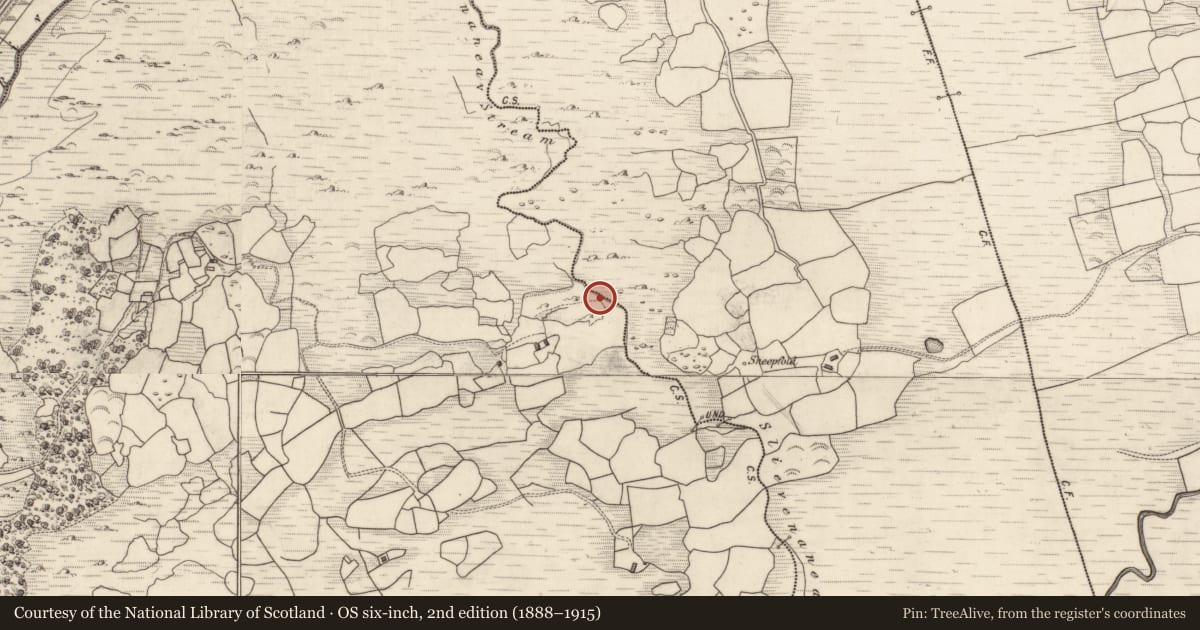 Ordnance Survey six-inch map, 2nd edition (1888–1915) covering the location of Burnt spread, Gort An Tsléibhe, County Kerry, with a pin at the register's coordinates