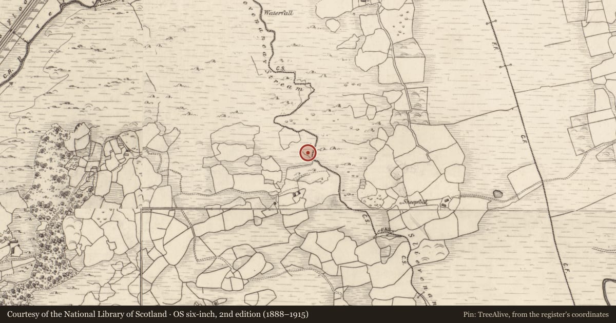 Ordnance Survey six-inch map, 2nd edition (1888–1915) covering the location of Burnt spread, Gort An Tsléibhe, County Kerry, with a pin at the register's coordinates