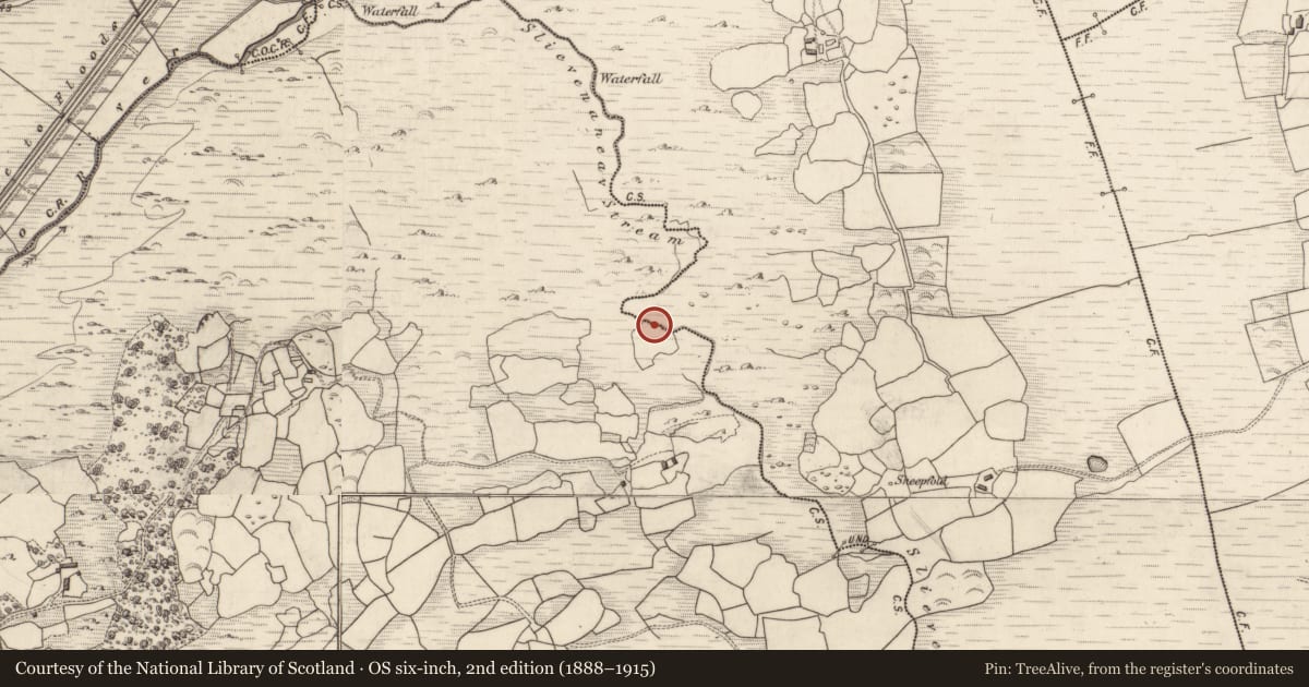 Ordnance Survey six-inch map, 2nd edition (1888–1915) covering the location of Burnt spread, Gort An Tsléibhe, County Kerry, with a pin at the register's coordinates