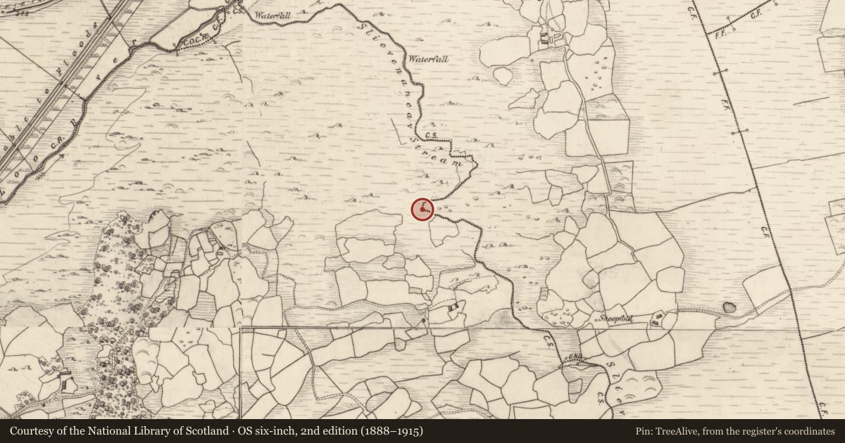 Ordnance Survey six-inch map, 2nd edition (1888–1915) covering the location of Fulacht fia, Gort An Tsléibhe, County Kerry, with a pin at the register's coordinates